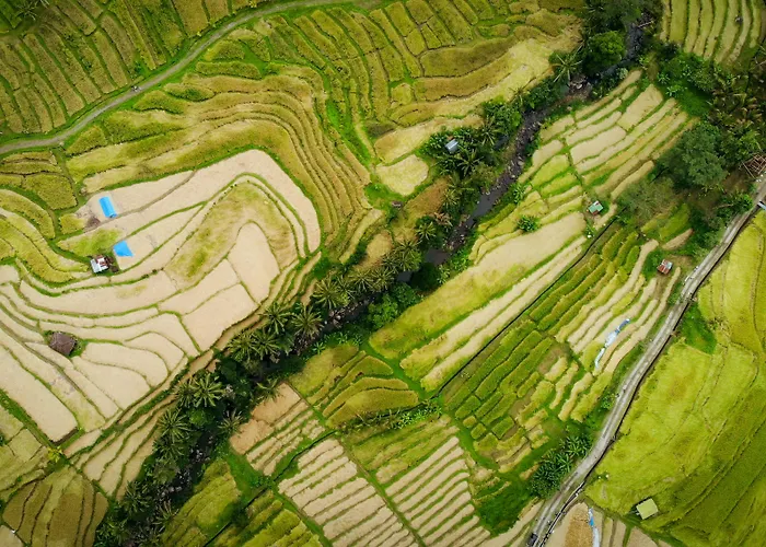 Hotéis em Ubud
