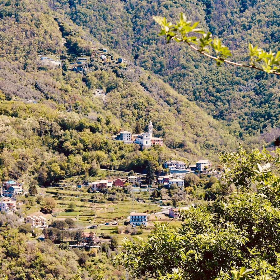 Appartamento con Vista Giardino