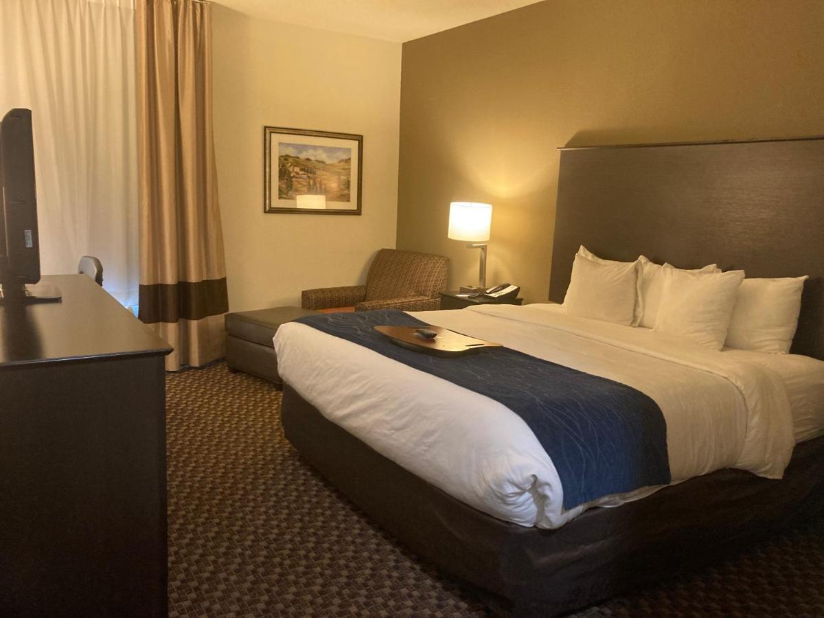 King Room with Roll-In Shower - Accessible/Non-Smoking