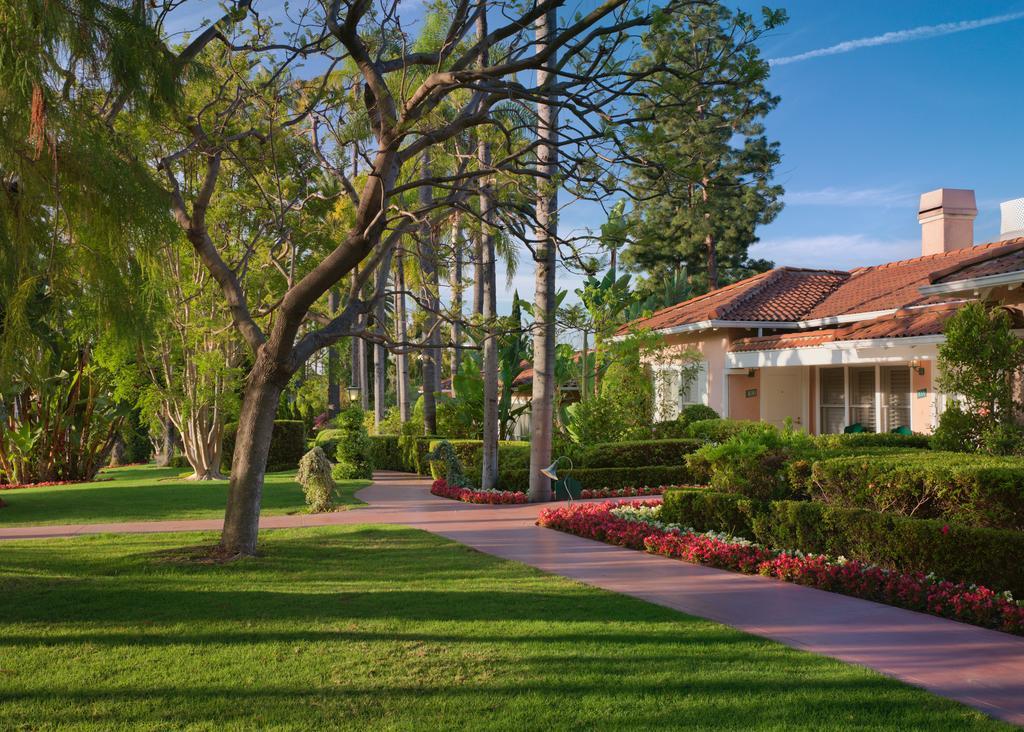 Suite Bungalow