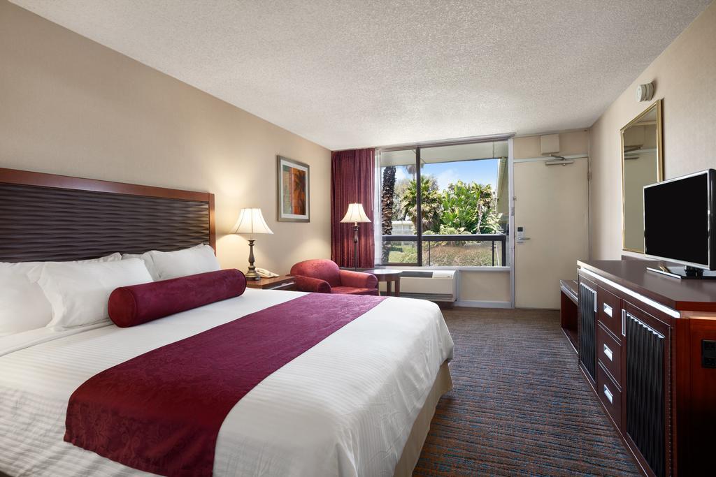 Executive King Room - Non-Smoking,112727847:JPEG