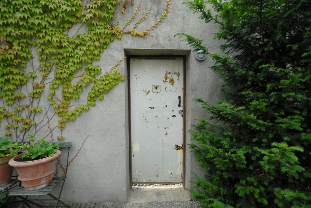 Junior Suite met Eigen Tuin
