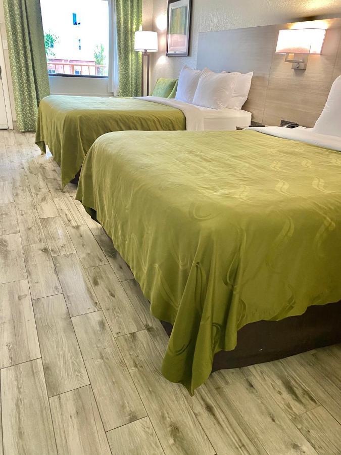 Queen Room with Two Queen Beds - Non-Smoking