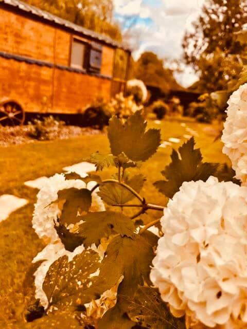 Triple Room Garden View,1246814521:JPEG