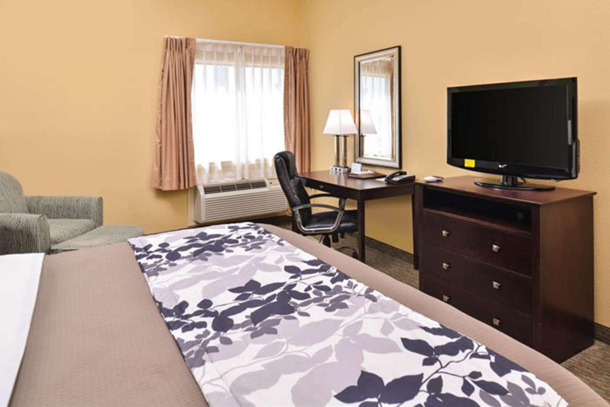 King Room - Accessible/Non-Smoking
