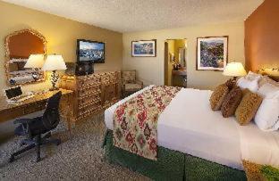 Deluxe Kamer met Kingsize Bed