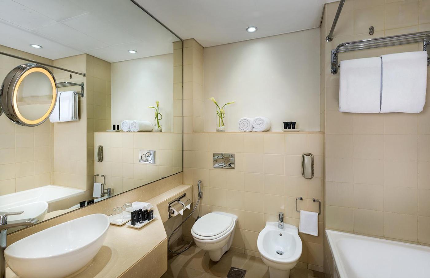 Camera Deluxe con 1 Letto King-Size e Vista Città