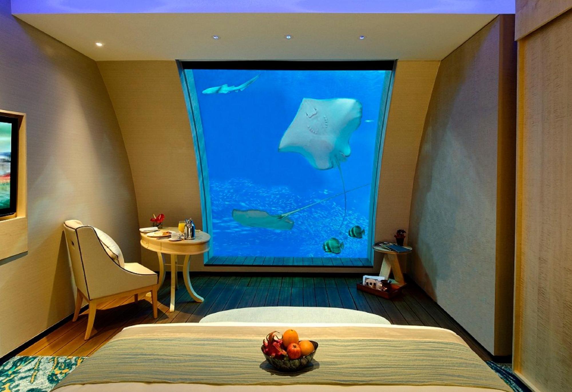Equarius Ocean Suites,708389674:JPEG