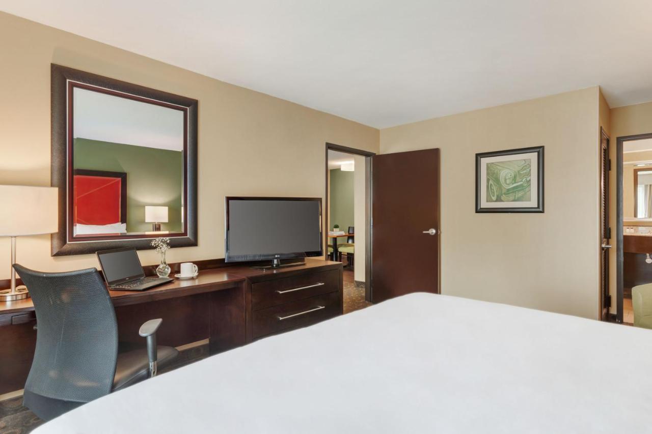 One-Bedroom King Suite Sofa Bed,1773734346:JPEG
