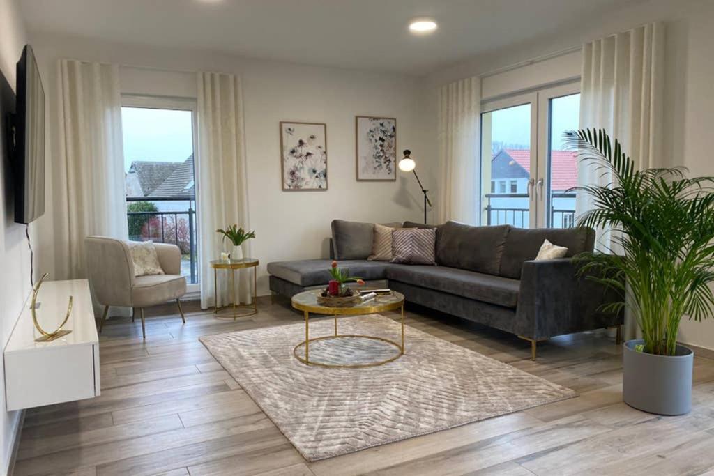 Extra Large Studio with Kitchen and Sofa Bed