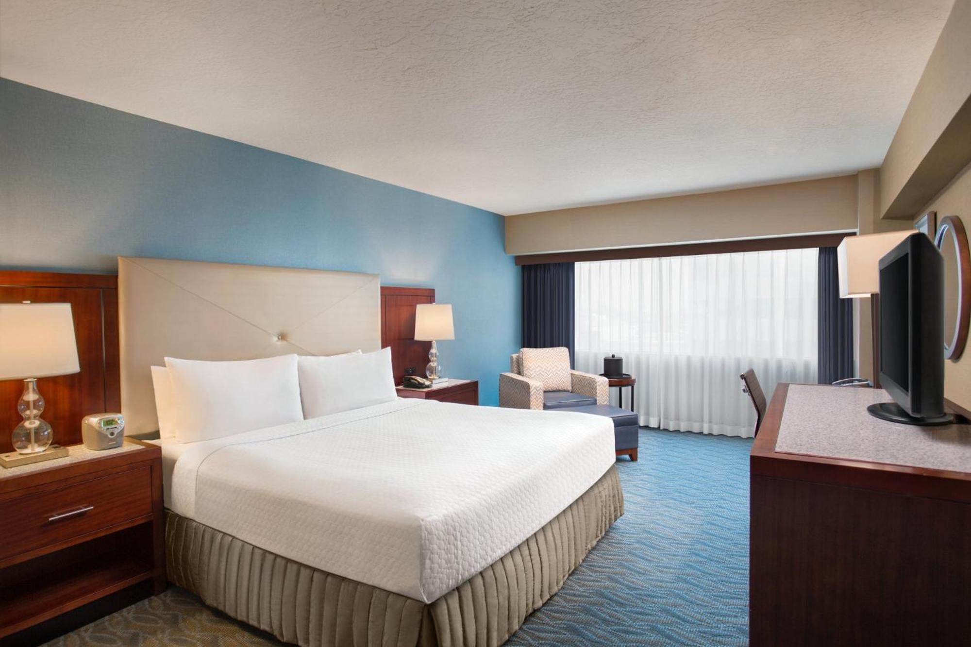 Junior King Suite,1276025911:JPEG