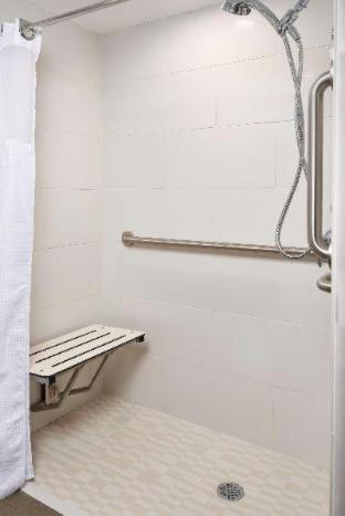 King Room with Roll-In Shower and View - Mobility Accessible/Non-Smoking