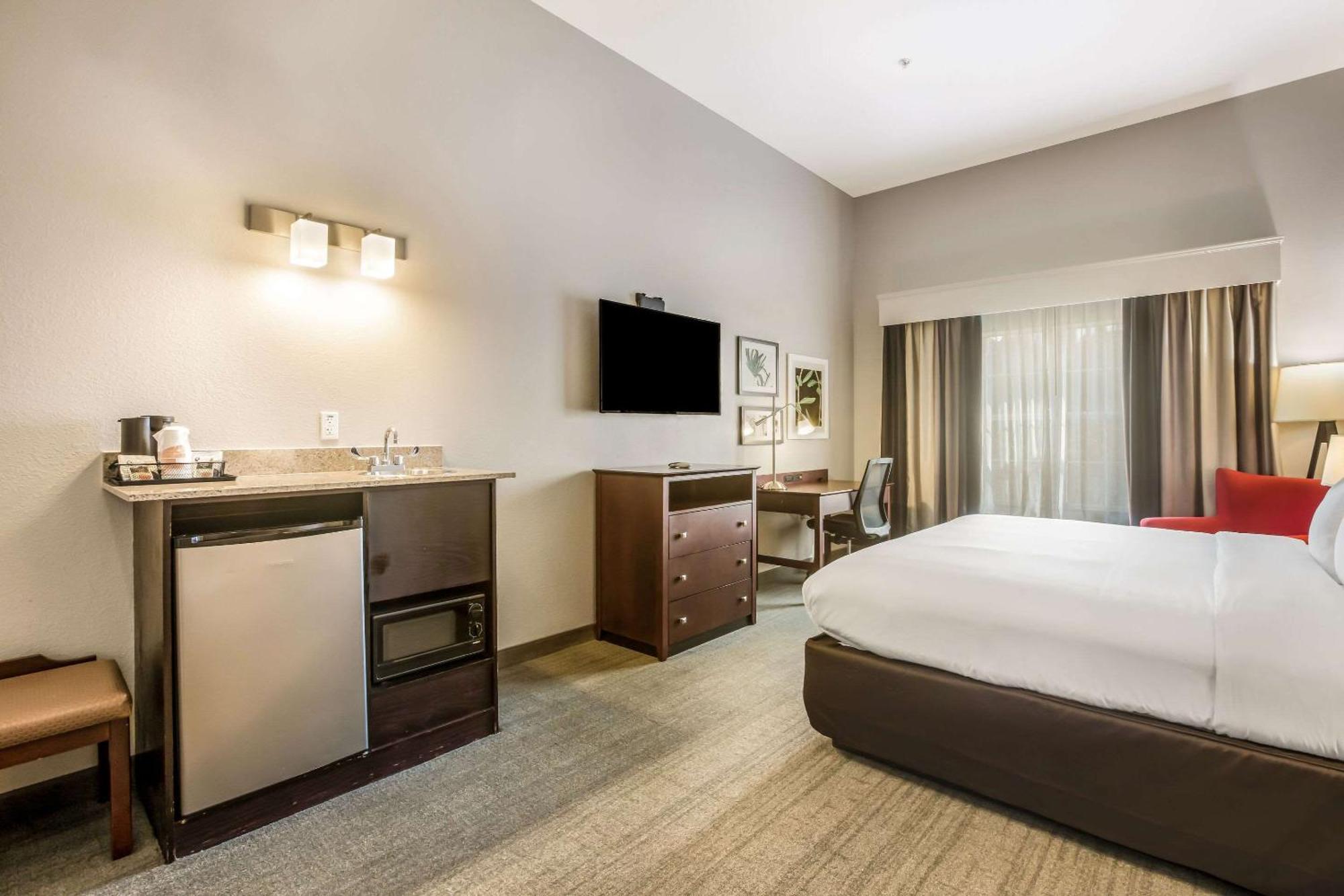 King Room - Roll-In Shower/Non-Smoking