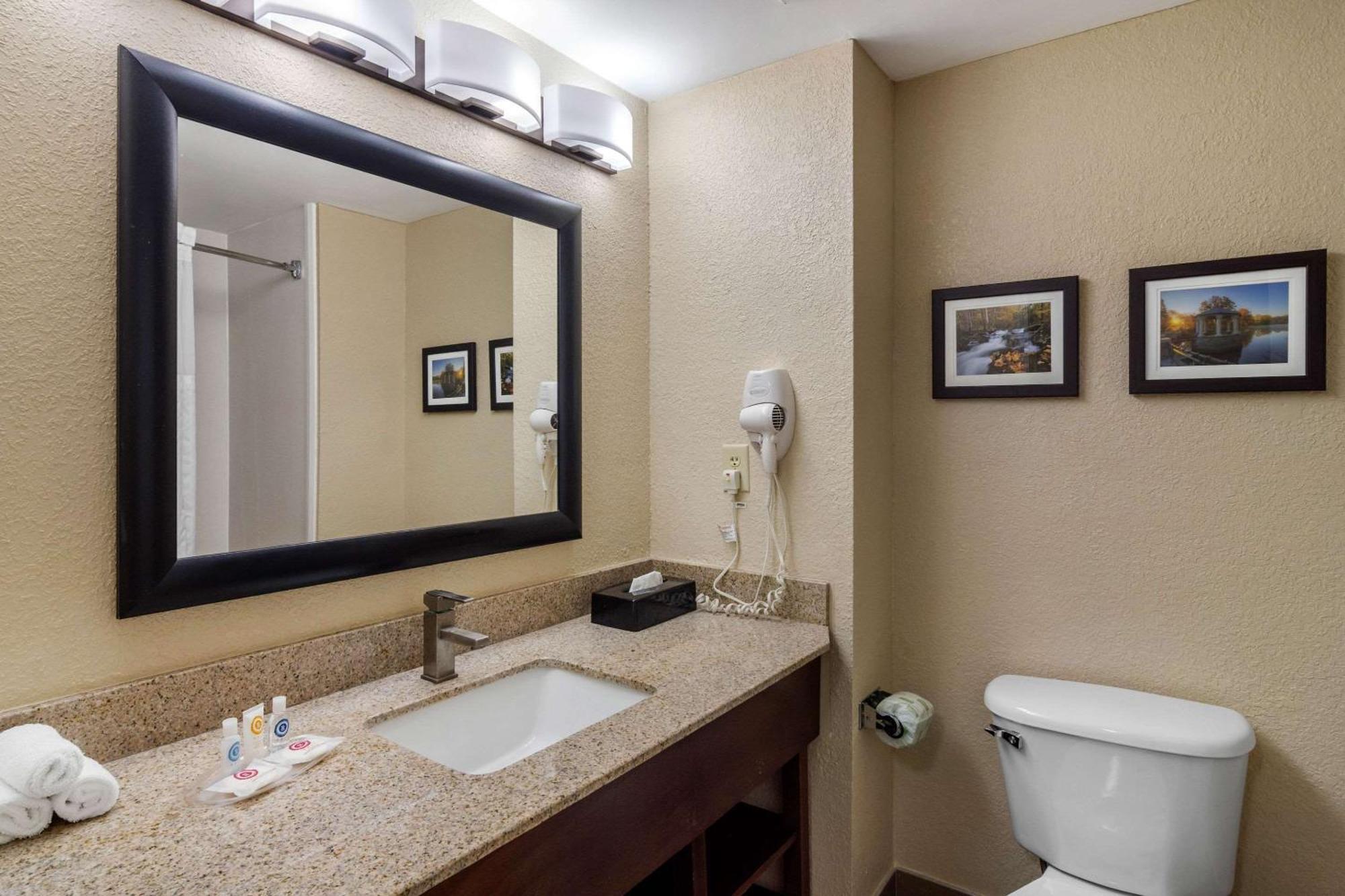 King Room with Roll-In Shower - Accessible/Non-Smoking