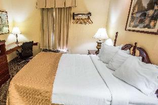 Double Room with Two Double Beds - Non-Smoking