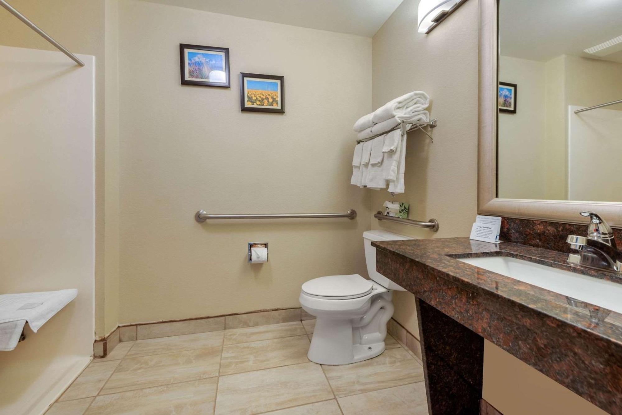 King Room with Roll-In Shower - Accessible/Non-Smoking