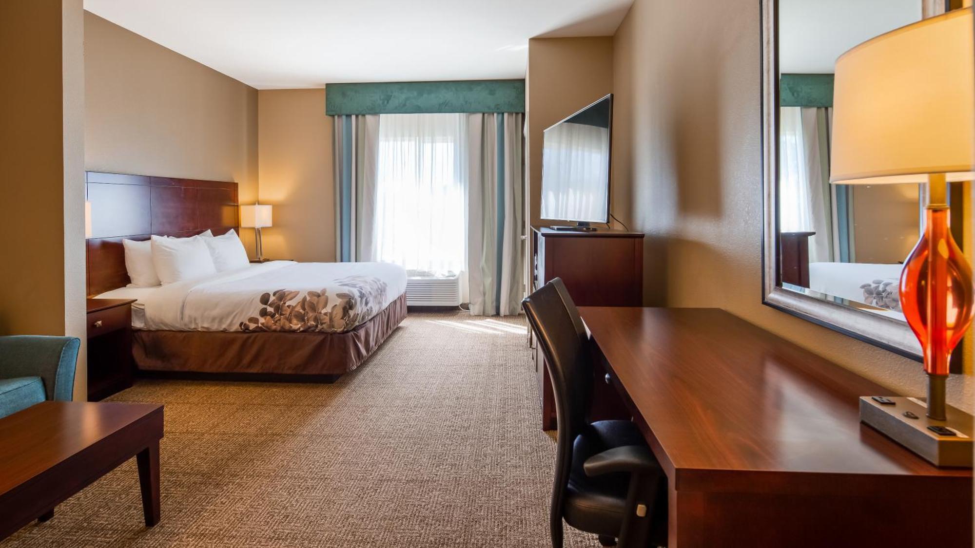 King Suite with Sofa Bed - Non-Smoking