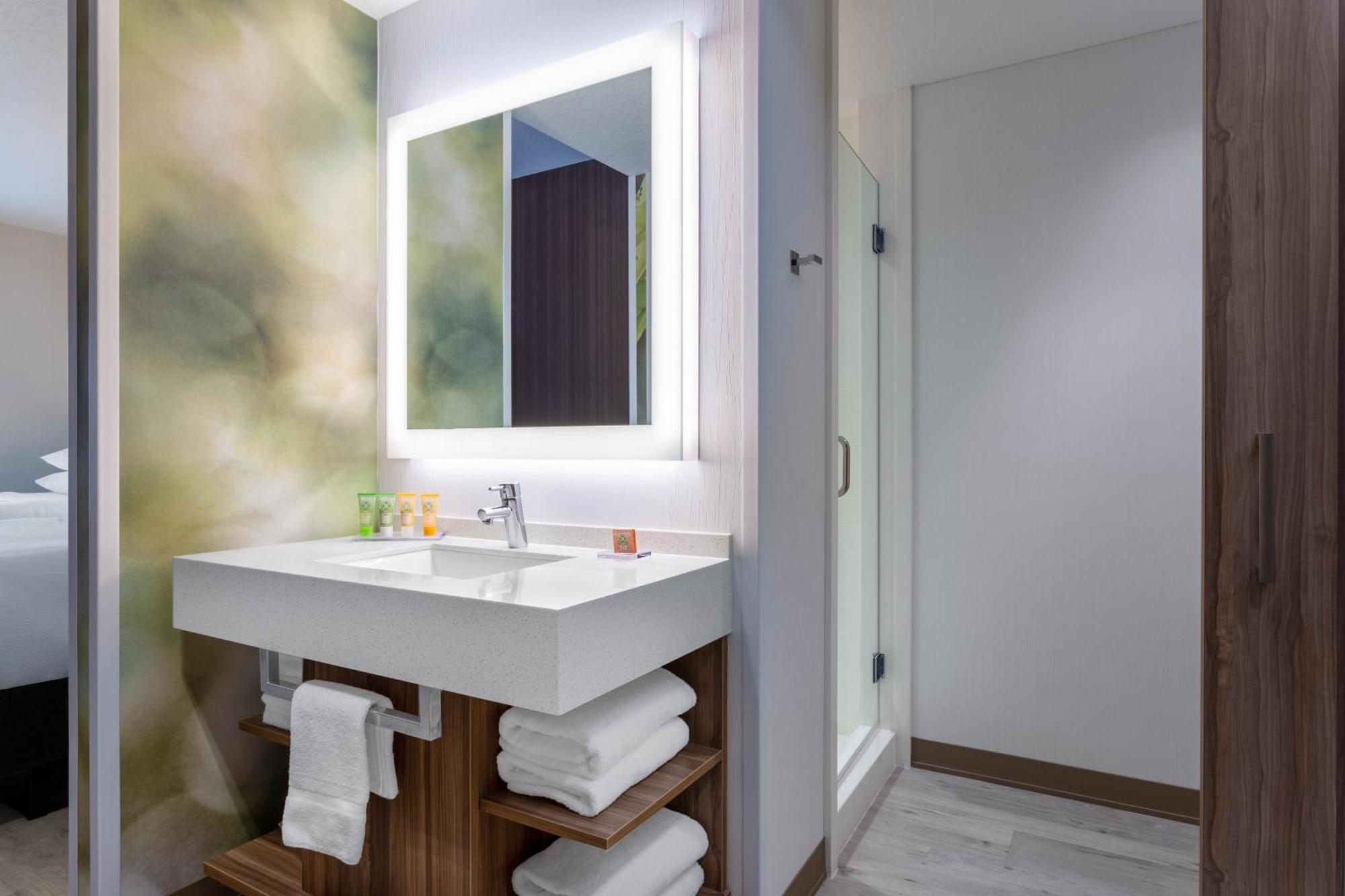 Deluxe King Suite (No Resort Fee),1713428467:JPEG