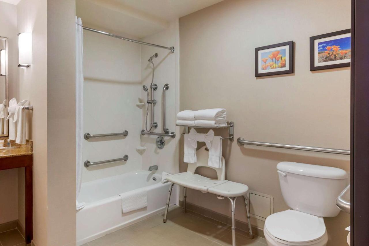 Accessible Suite, 1 King Bed with Sofa Bed, Tub, Non Smoking