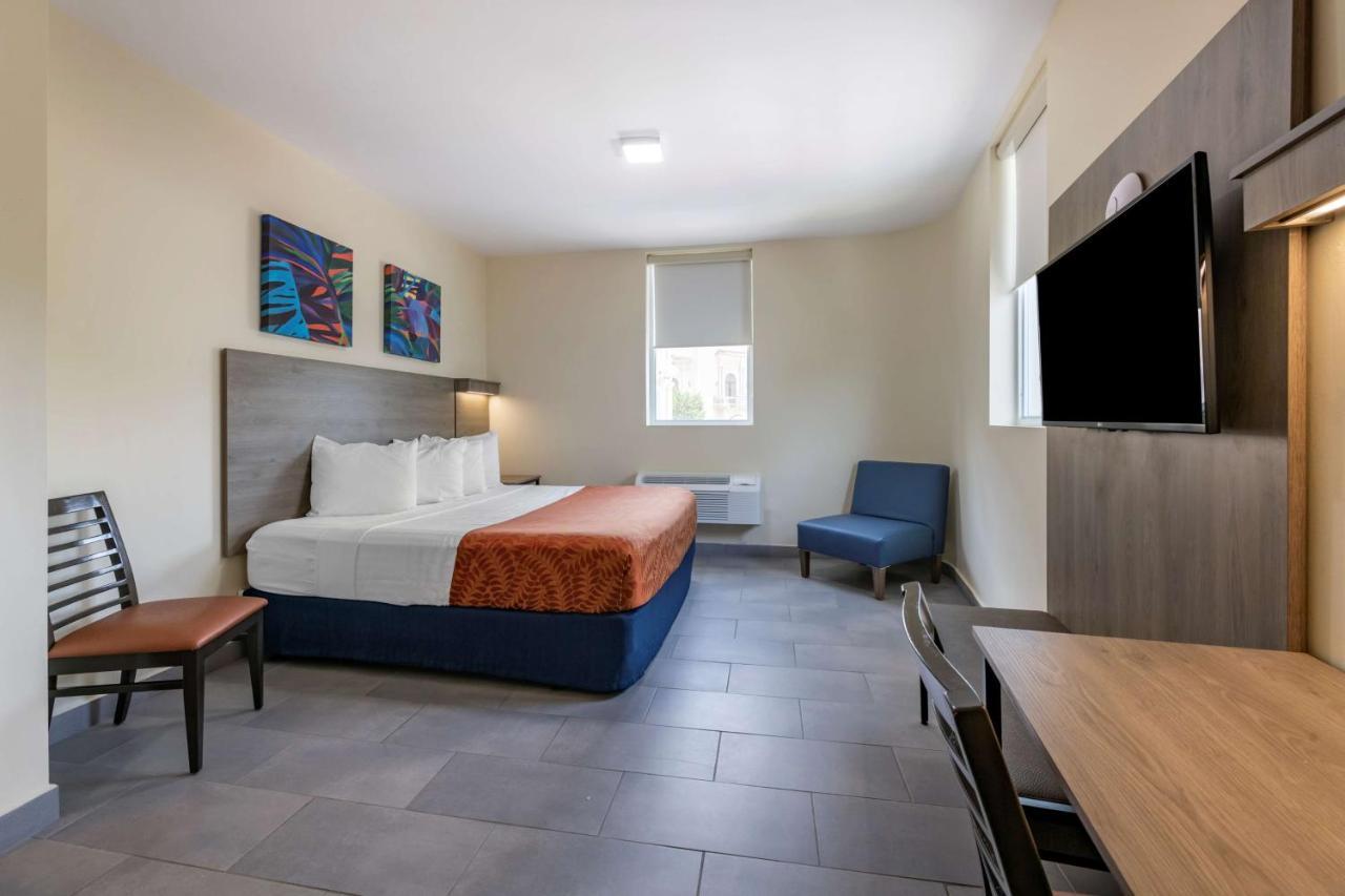 King Room with City View