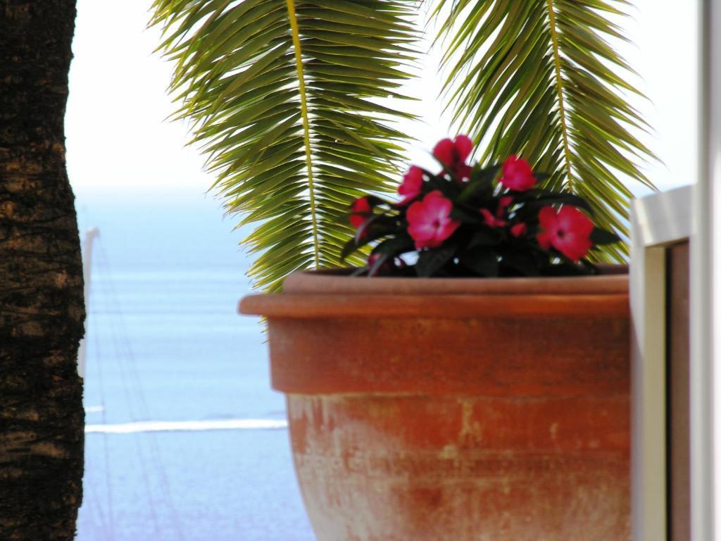 Chambre Double avec Terrasse - Vue sur Mer
