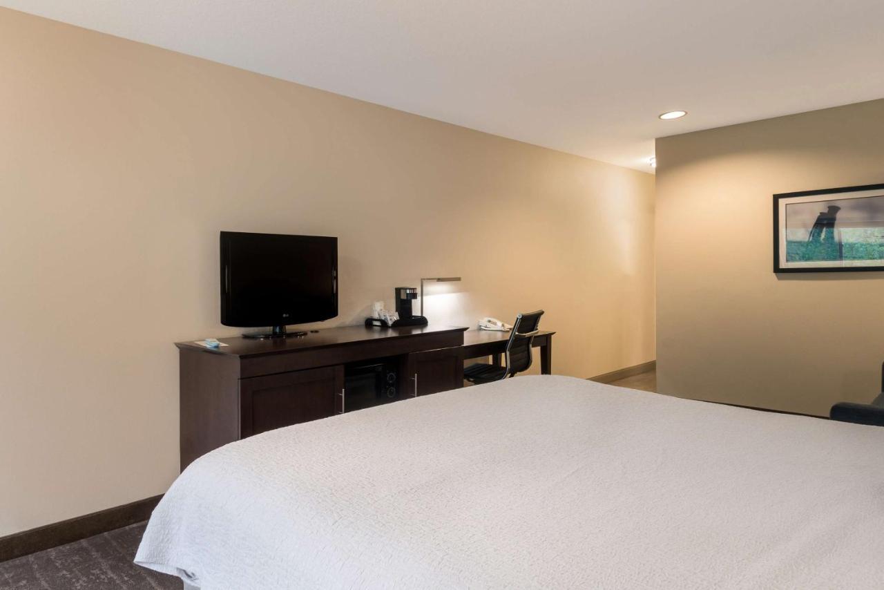 Queen Room with Bath Tub and Sofa Bed - Disability/Non-Smoking
