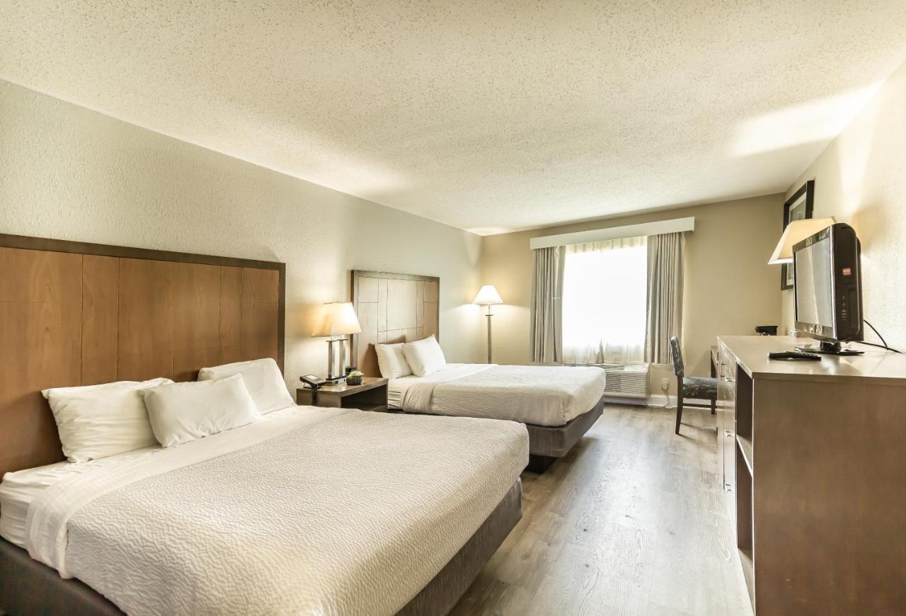 Queen Room with Two Queen Beds - Non-Smoking