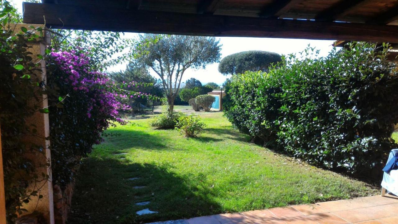 Monolocale con Vista Giardino