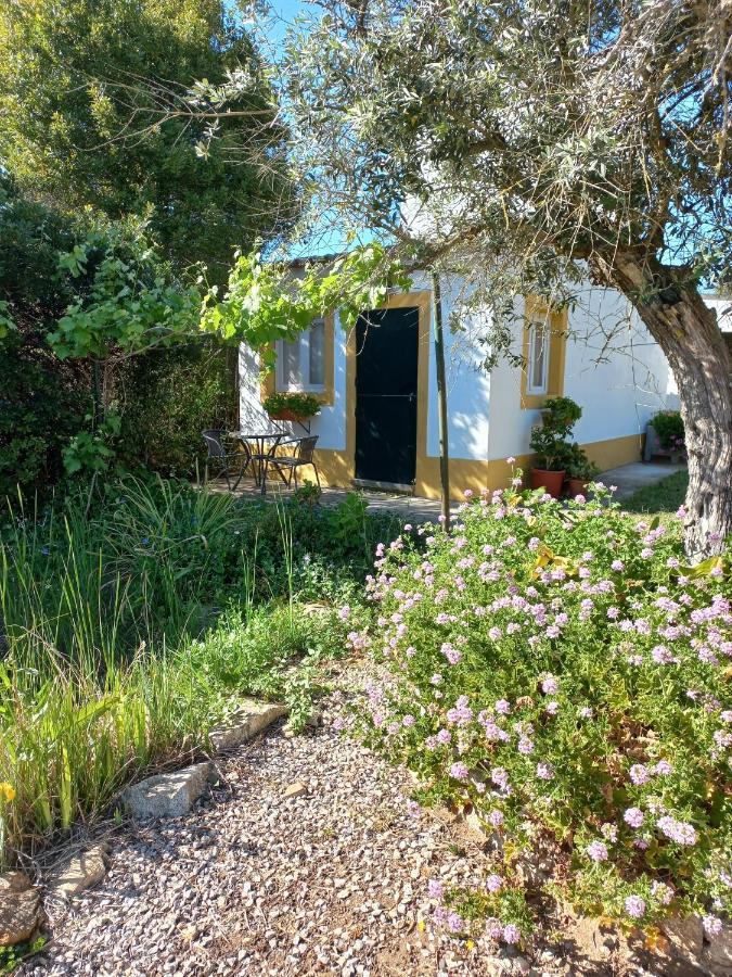 Studio with Garden View,1381669385:JPEG