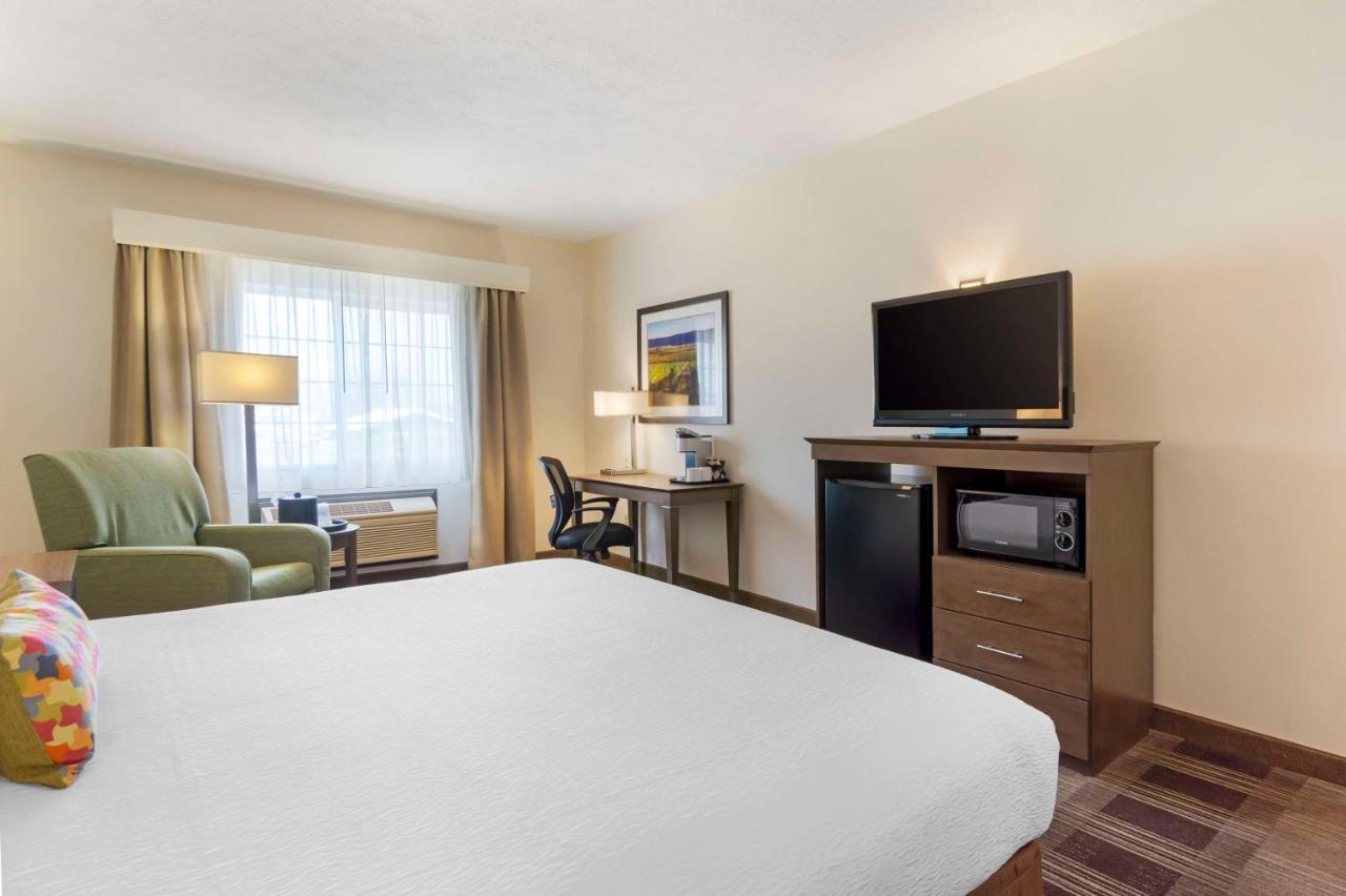 King Suite with Sofa Bed