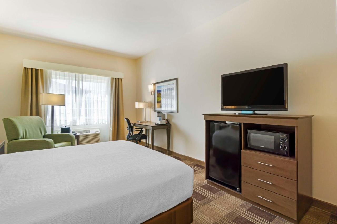 Queen Room with Roll-In Shower - Mobility Accessible/Non-Smoking