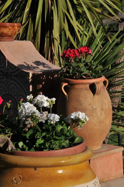 Superior Tweepersoonskamer met Terras