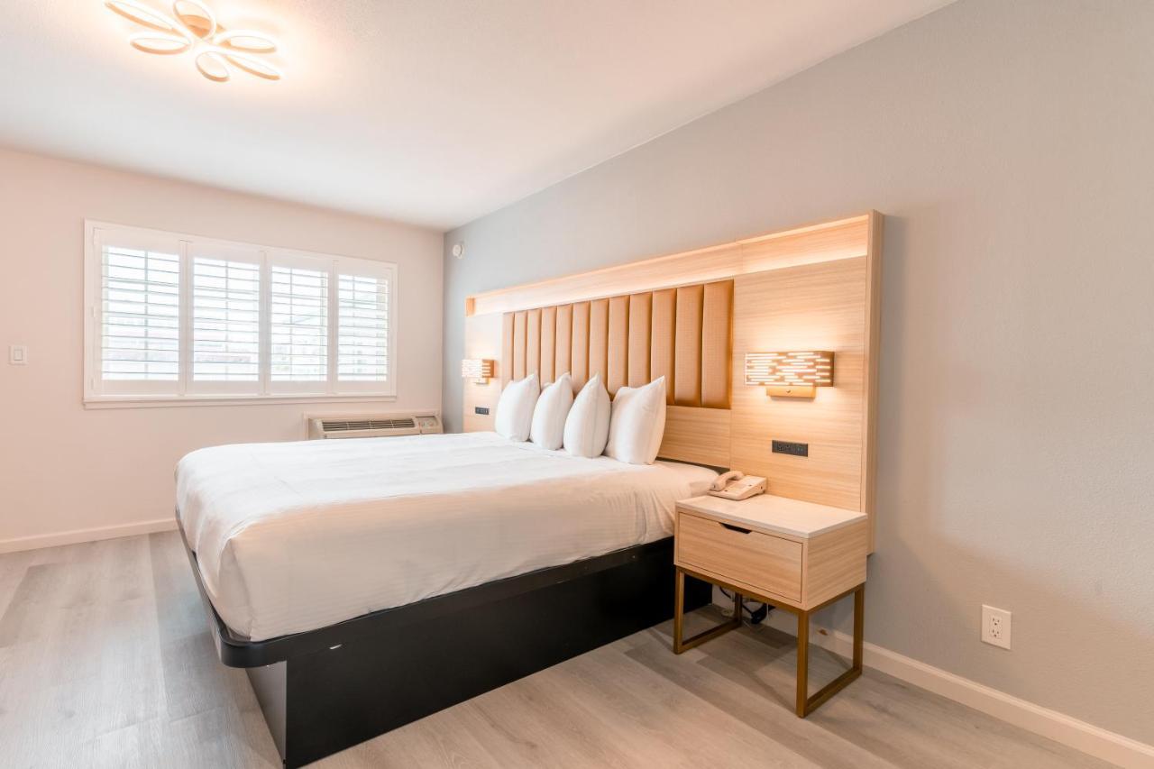 Habitación Deluxe con cama extragrande - No fumadores