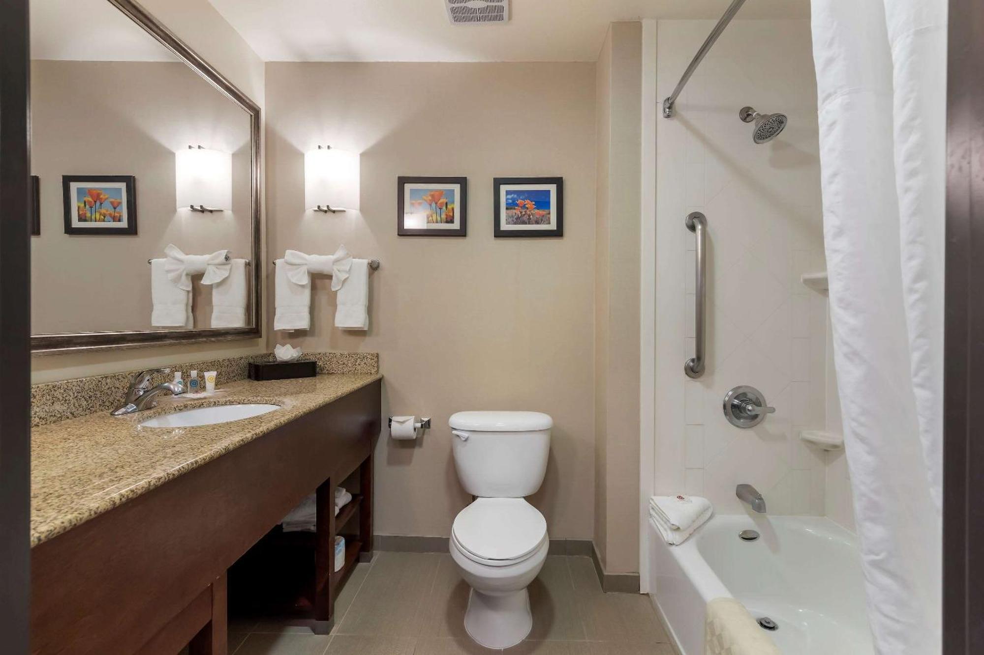 Suite, 1 King Bed with Sofa Bed, Non Smoking