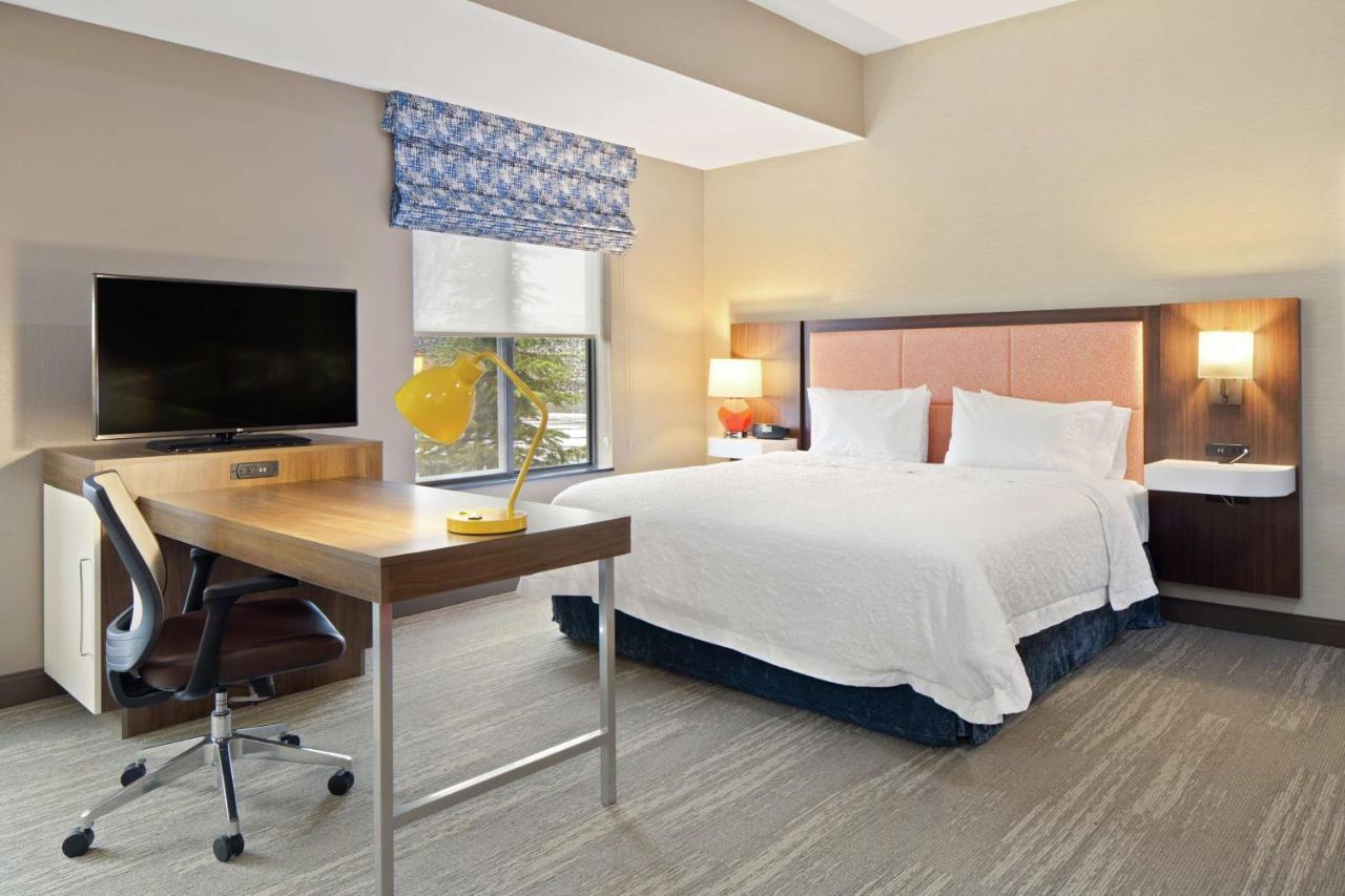 King Studio Suite with Sofa Bed - Non-Smoking