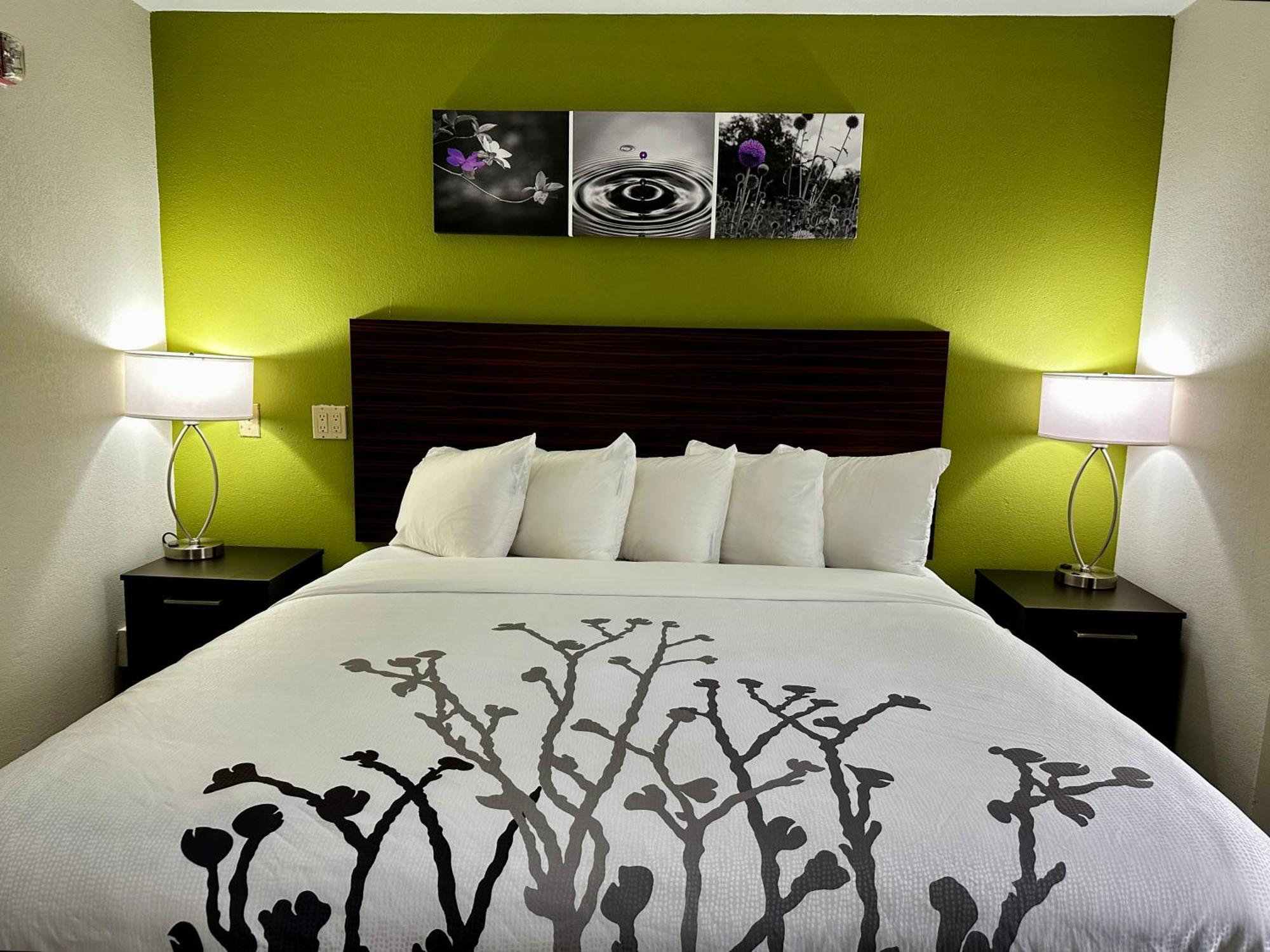 King Room - Accessible/Non Smoking