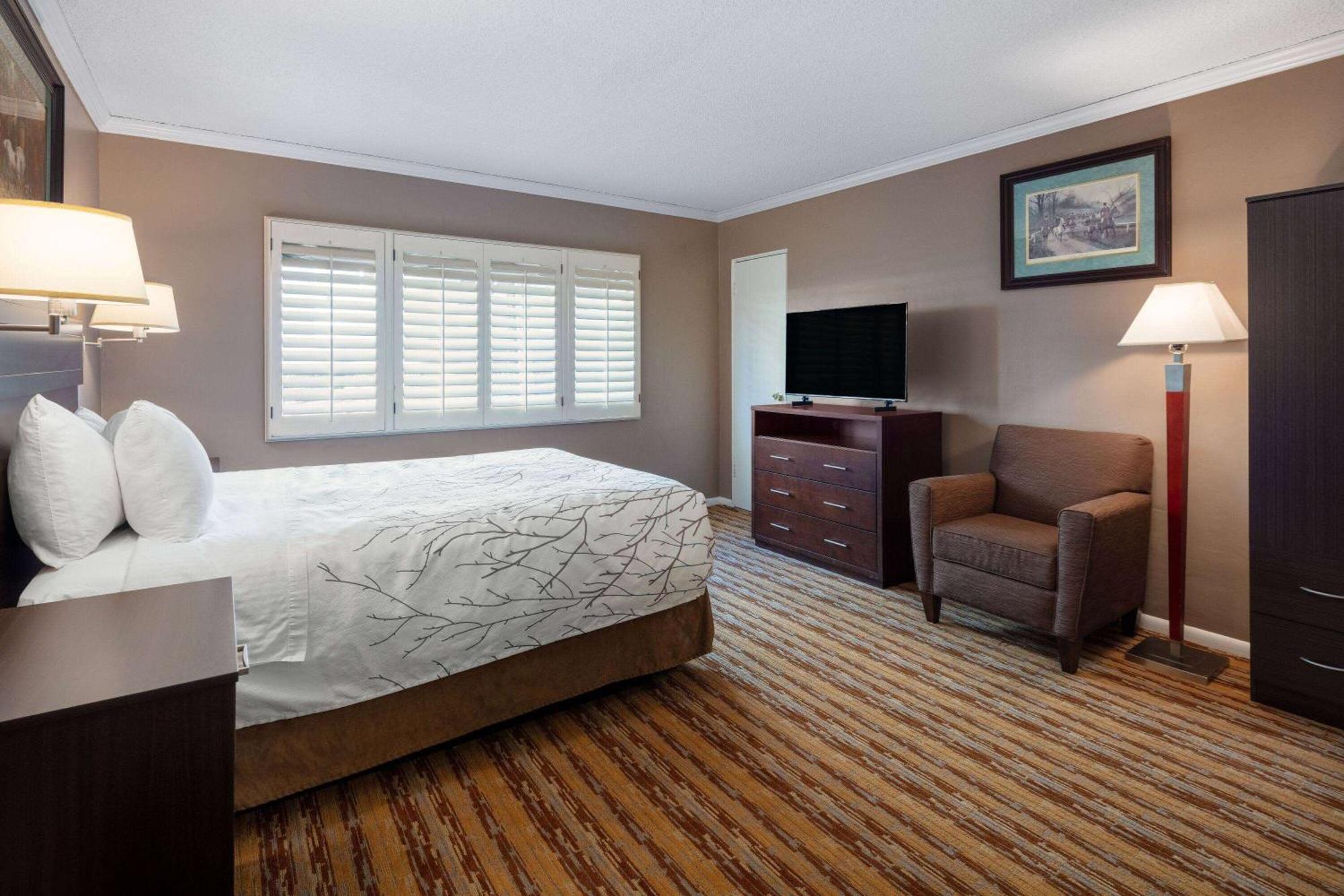 Quarto com Cama King-size e Vista da Cidade - Não Fumantes