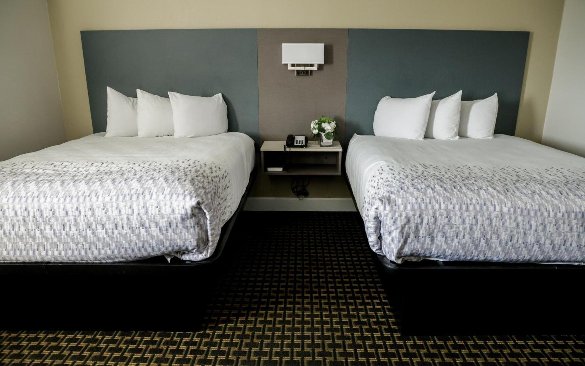 Chambre avec 2 Grands Lits Queen-Size