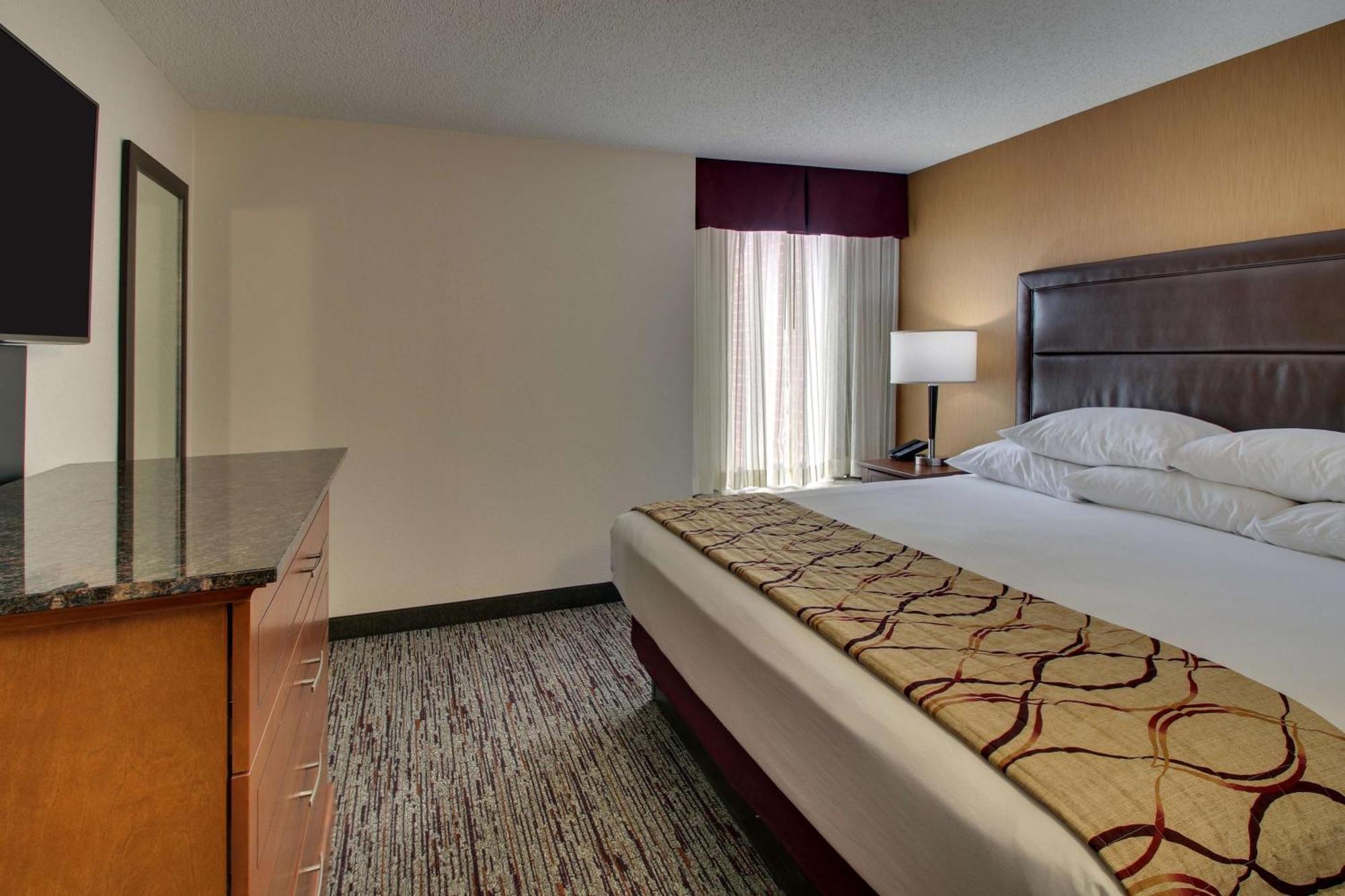 King Suite with Sofa Bed