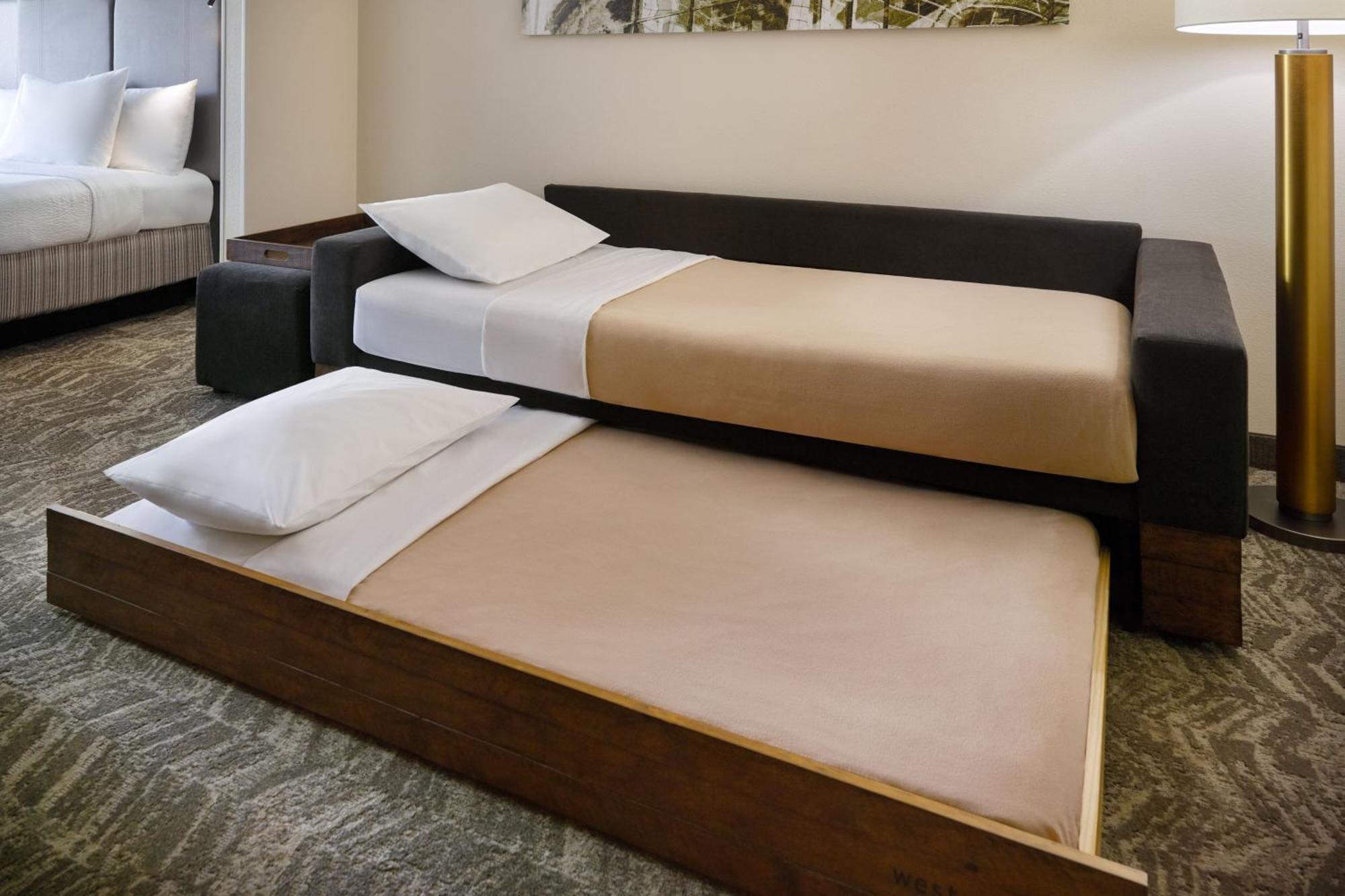 Double Suite with Sofa Bed