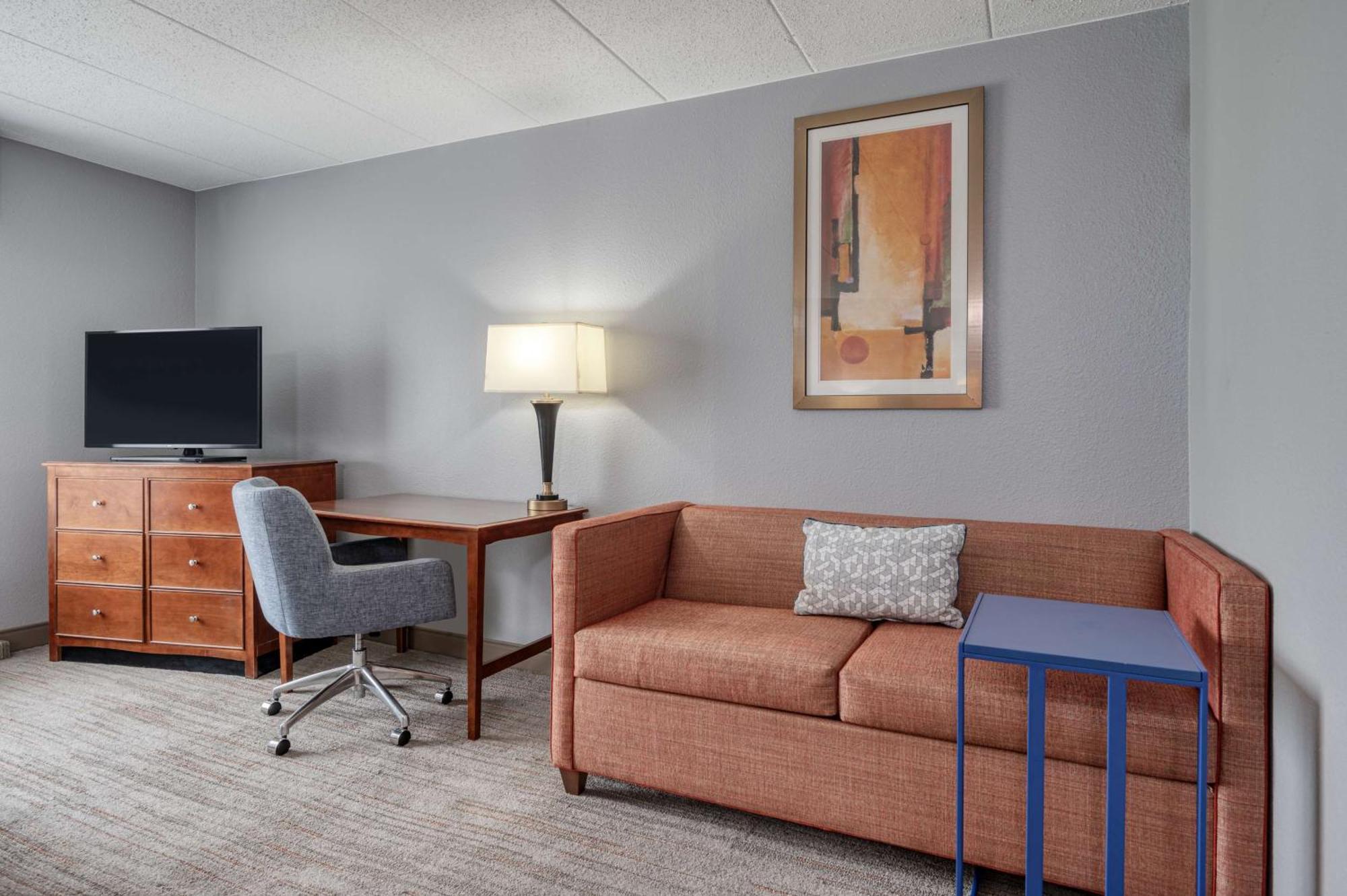 One-Bedroom King Suite - Non-Smoking