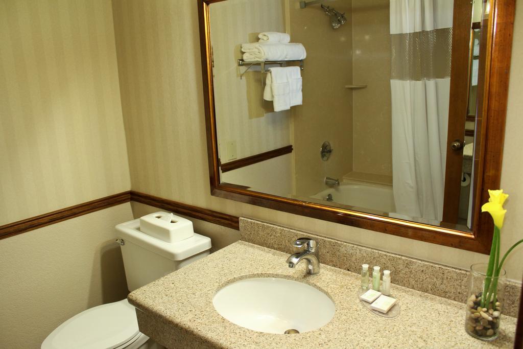 Executive King Suite