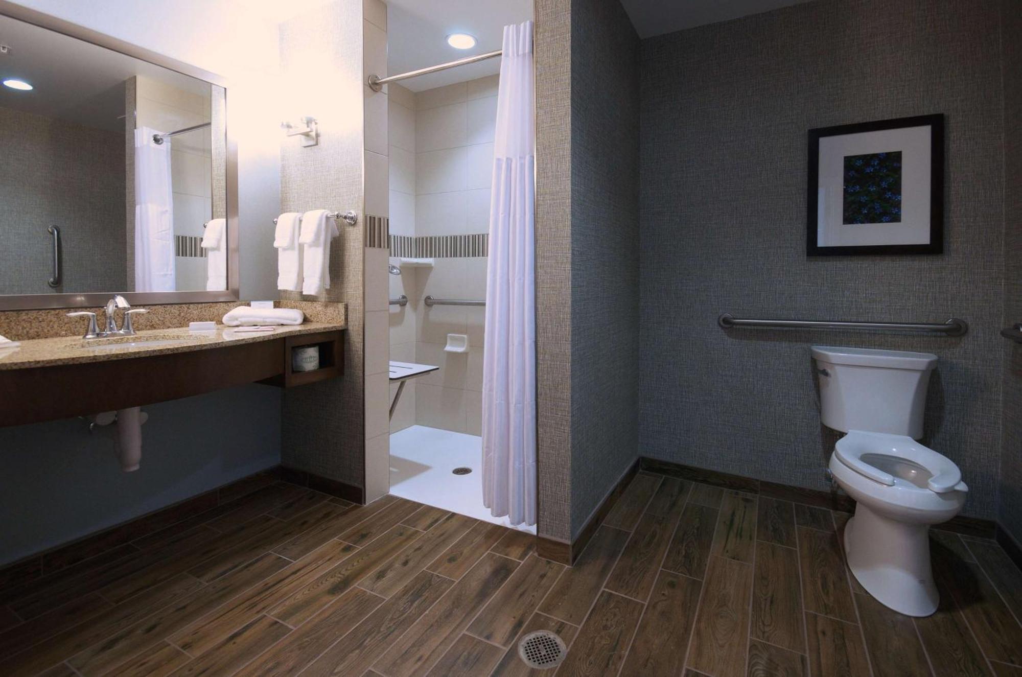King Room with Roll-In Shower - Mobility Access