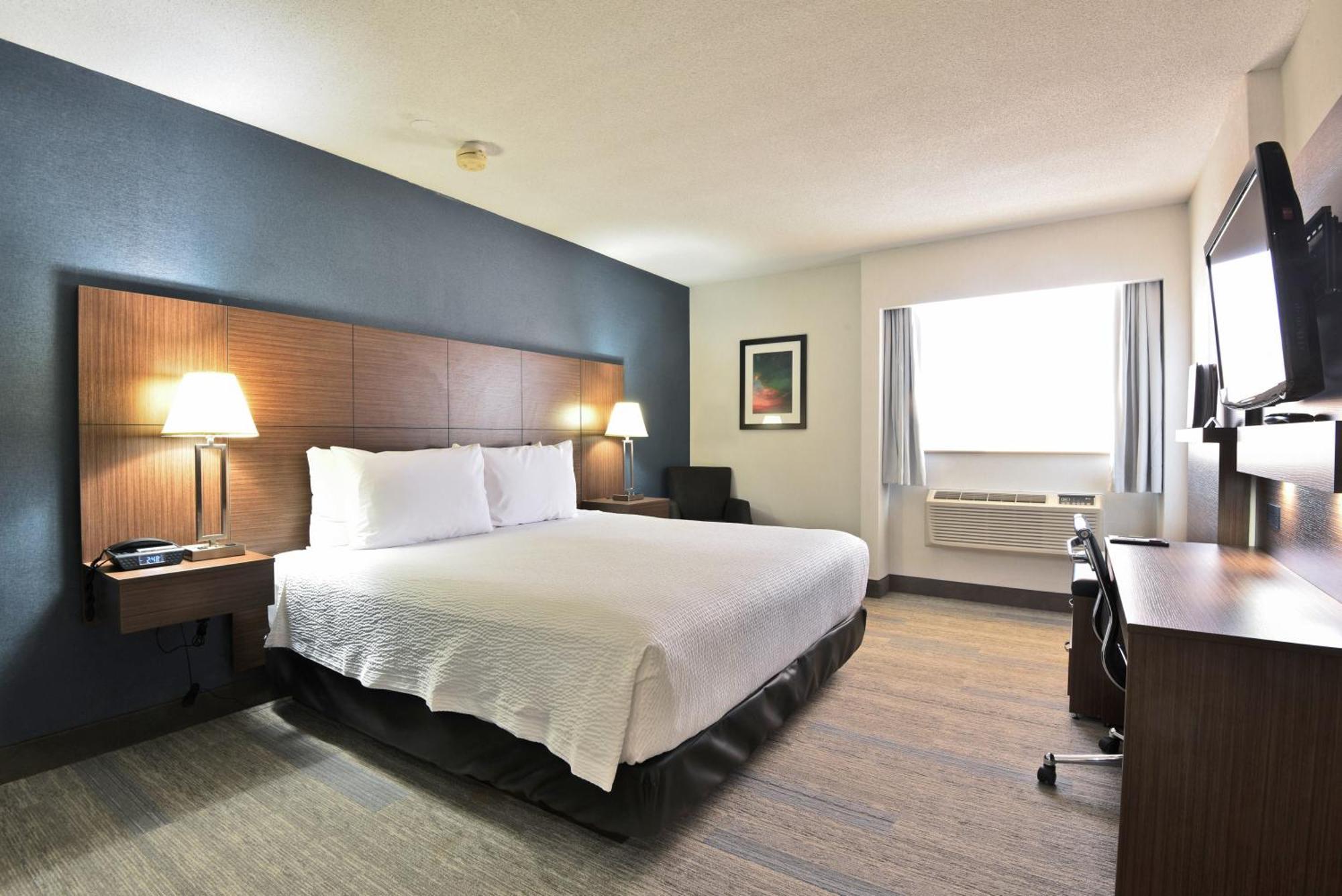 Corporate Floor - Business King Room,1558247974:JPEG