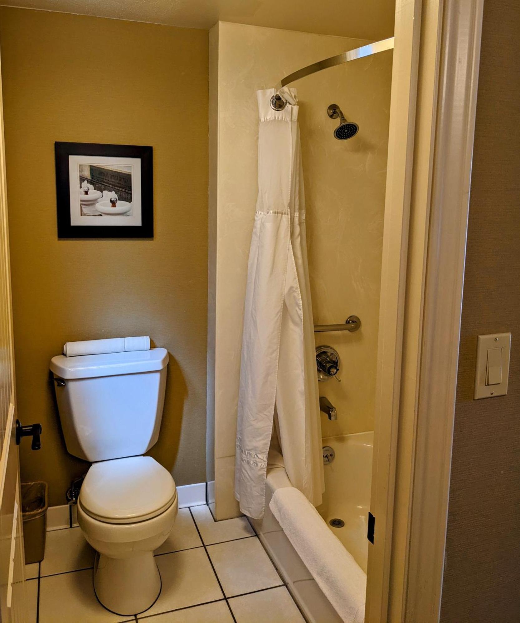 King Room - Pet-Friendly