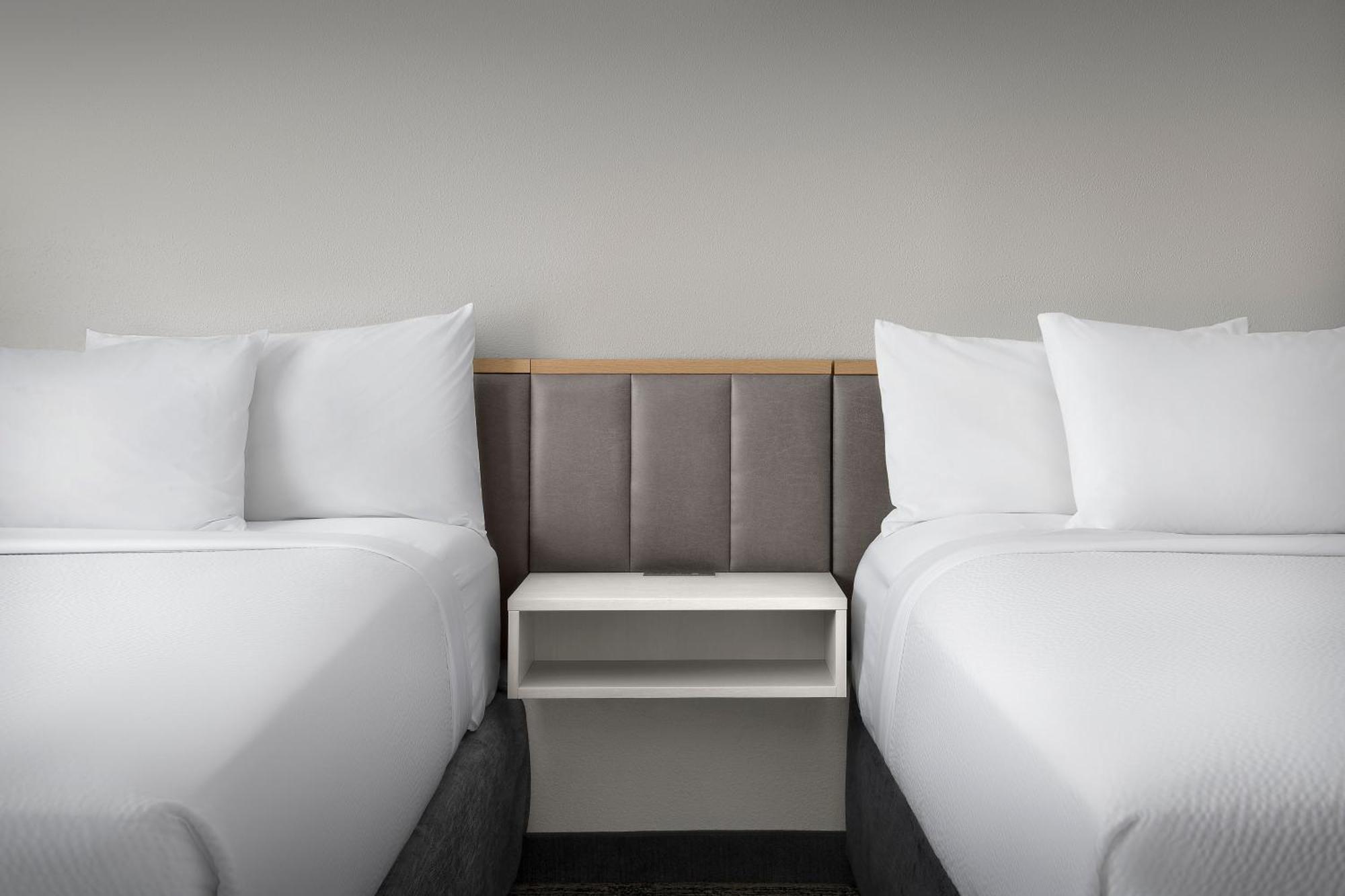 Studio with Two Queen Beds and Adapted Tub - Mobility Accessible