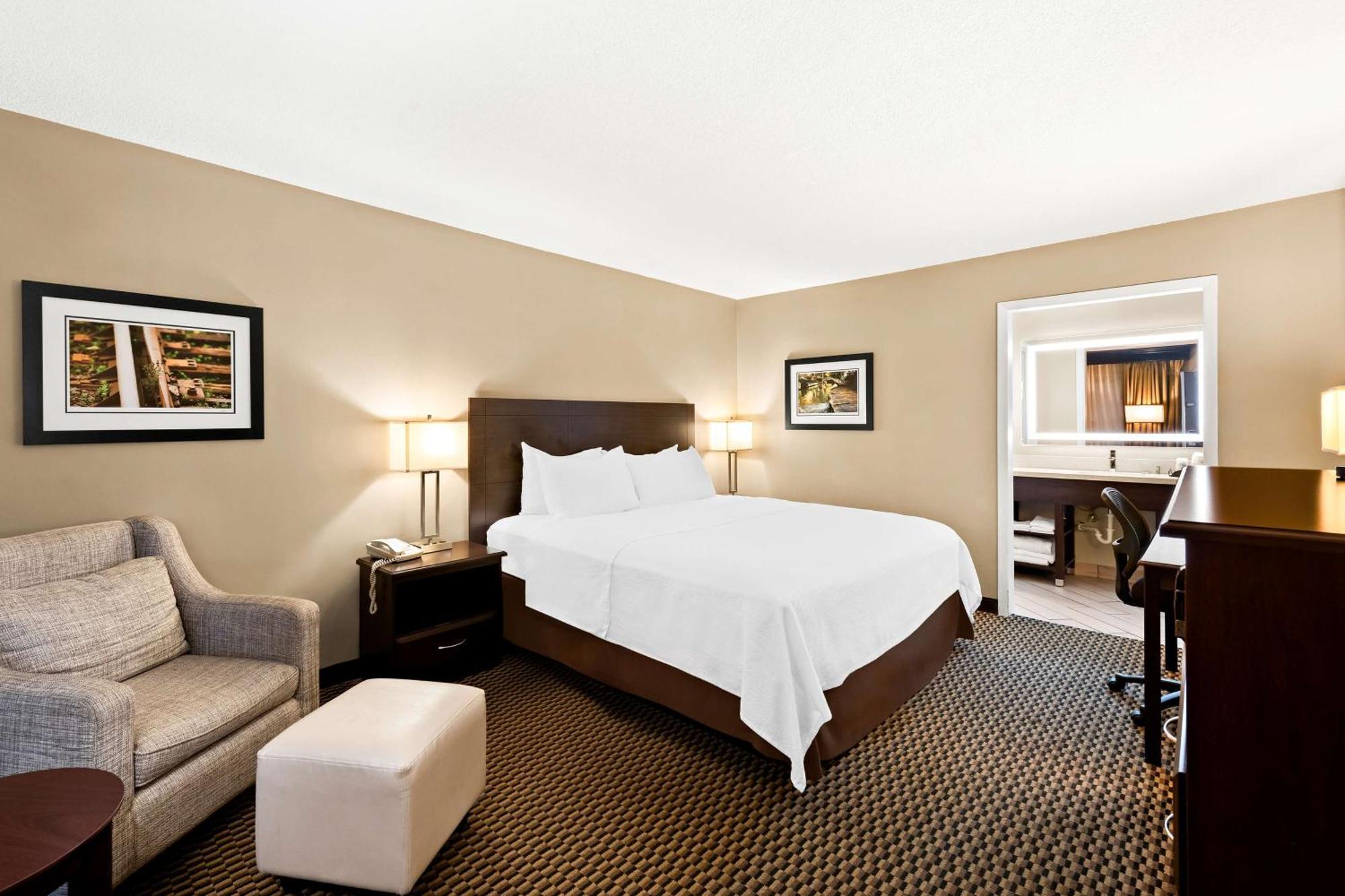 Standard King Bed Room