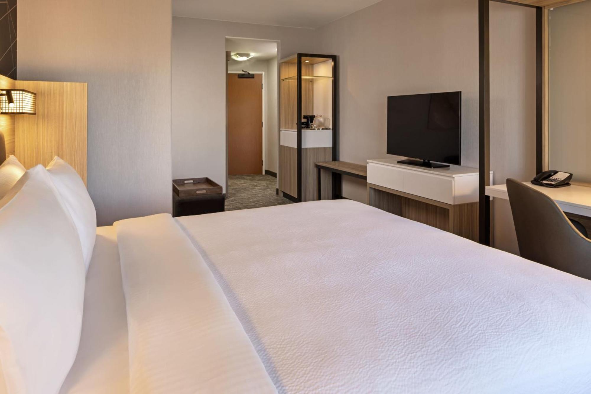 King Suite with Sofa Bed