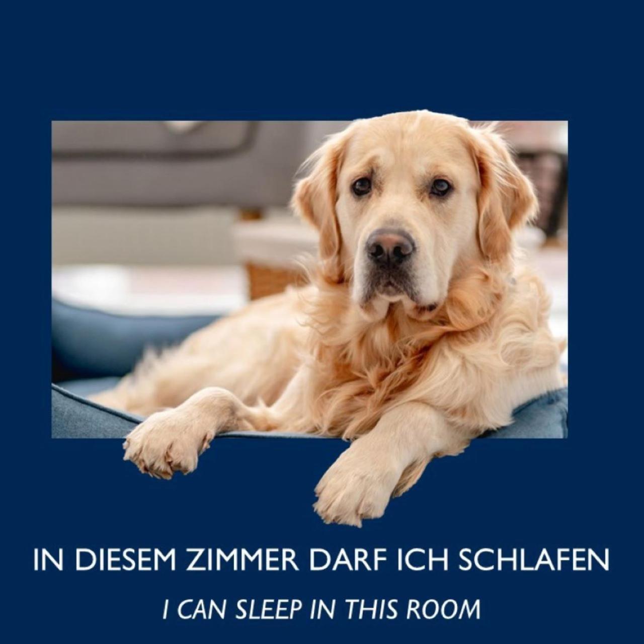 Standard Zimmer - Nebengebäude
