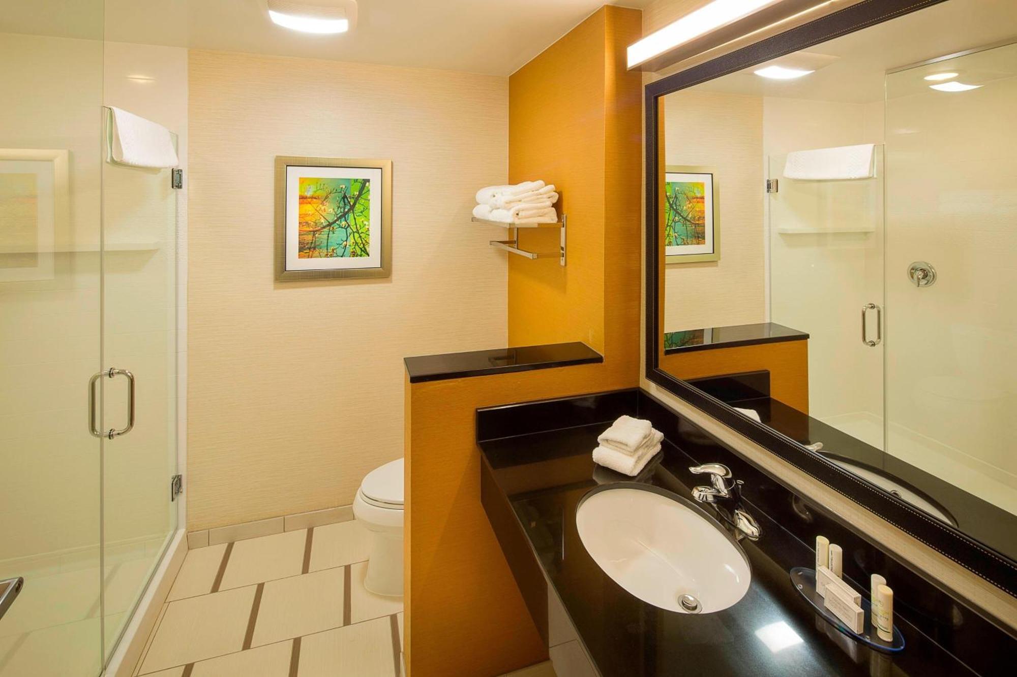 King Room with Roll-In Shower and Transfer Shower - Mobility Access/Hearing Accessible